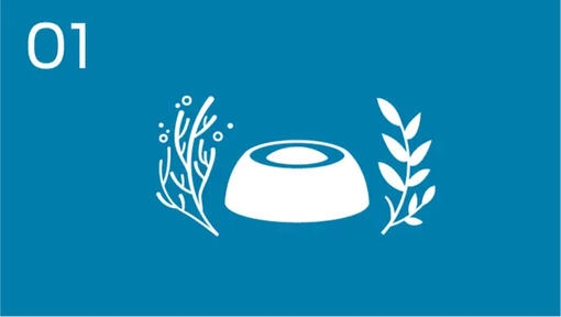 Infografisk skål og planter
