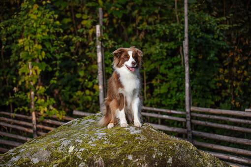 Vårt veldedighetsarbeid