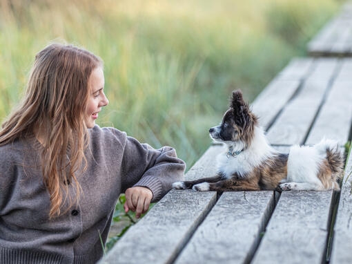 Ta vare på kjæledyret ditt