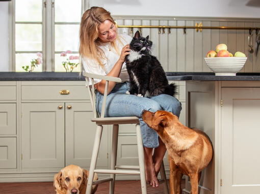 Kvinne og hund ser på katt.