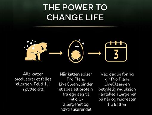 3 trinn til livsendrende vitenskap