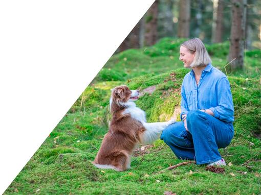 kvinne som sitter med hund på grønt gress