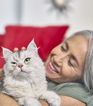 Purina Cat