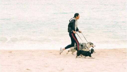 Blue Horizons & Purina- Gjenoppretting av livet i havet