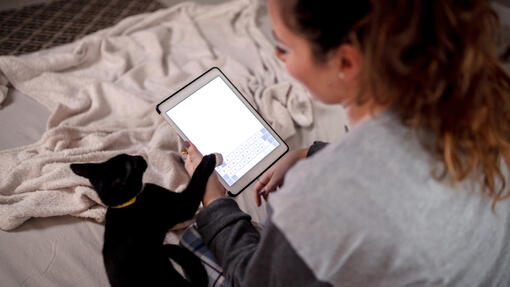 Smarte apper for deg og katten din
