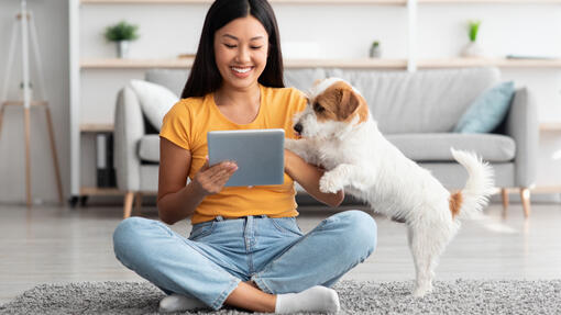 Smarte apper for deg og hunden din