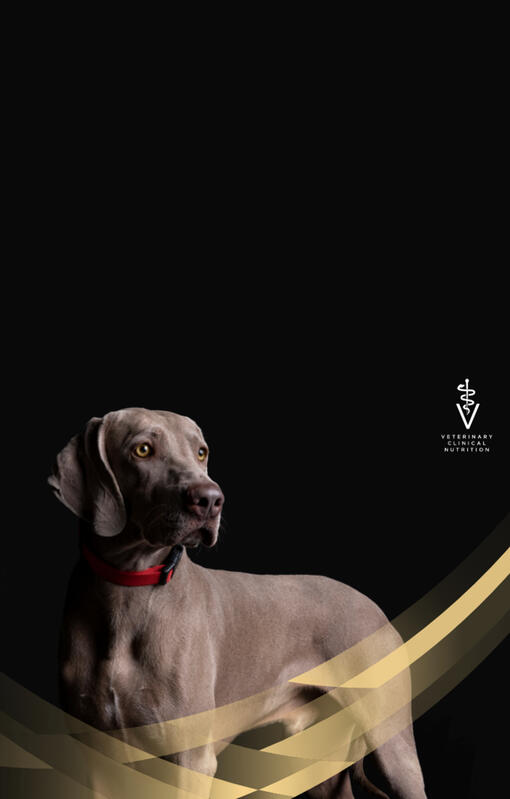 PRO PLAN® Veterinary Diets til hund