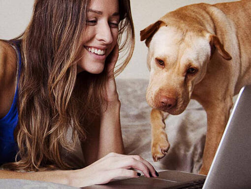 Kvinne og hund ved laptop